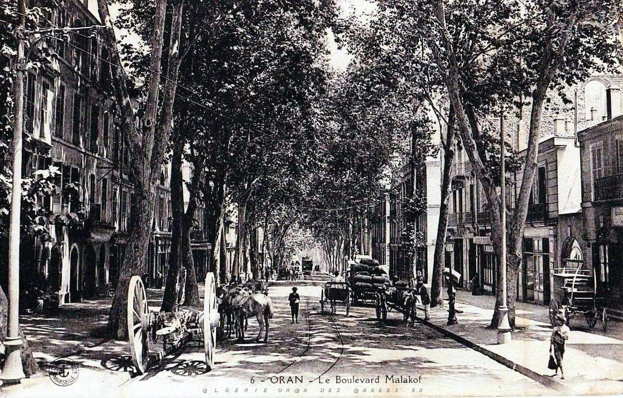 Oran - Boulevard Malakoff et le traffic routier.jpg